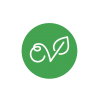 Logo-Cap-Veggie-rond-vert